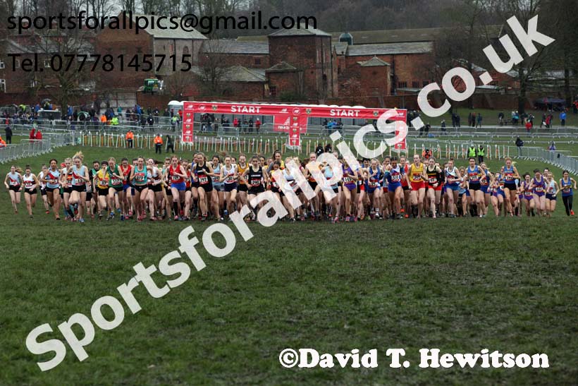 Senior girls 2019 New Balance English Schools Cross Country Champs, Temple Newsam, Leeds. Photo:  David T. Hewitson/Sports for All Pics
